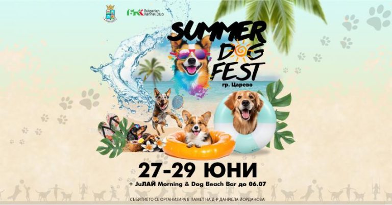 Summer Dog Fest 2025 в Царево – Празник на кучетата, морето и доброто настроение