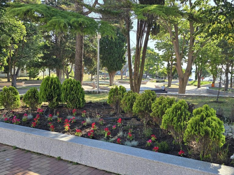 Цветна инициатива на дамите от пенсионерския клуб в Ахтопол